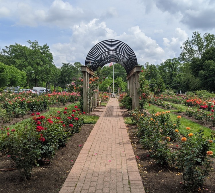 Bon Air Park Rose Garden (Arlington,&nbspVA)